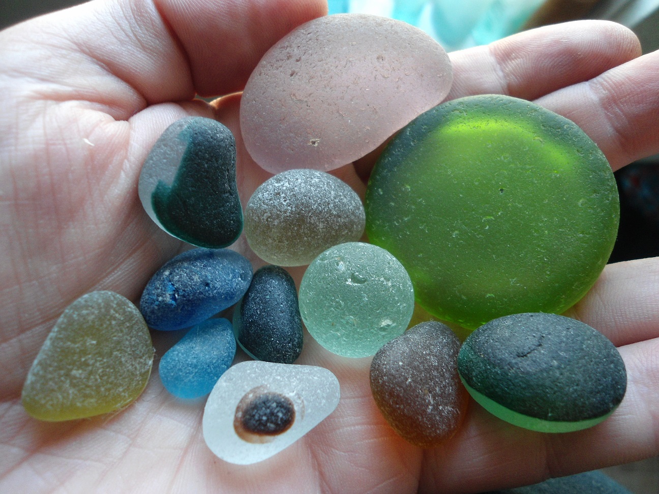 Aviary Photo_132451632841618239.jpg