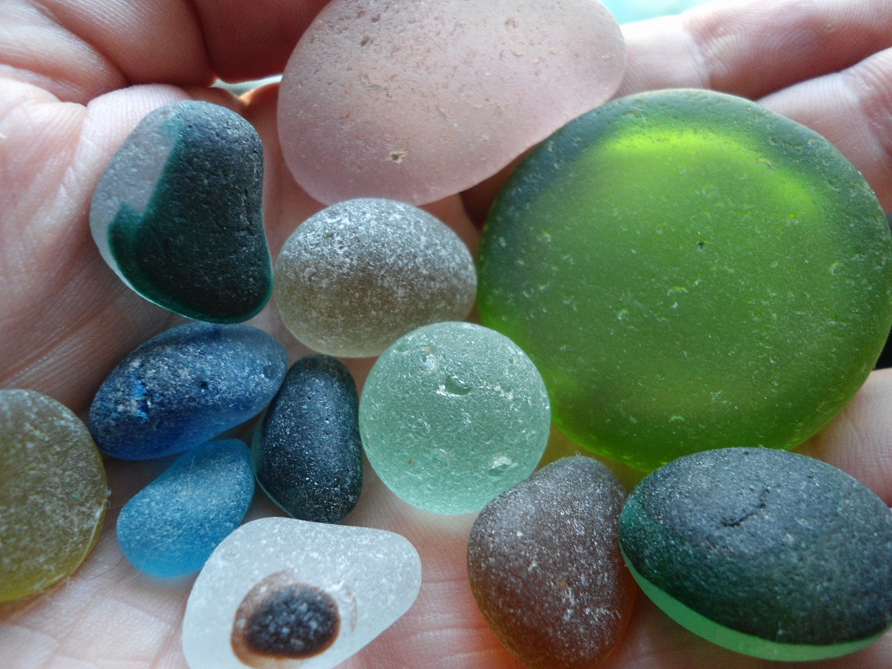 Aviary Photo_132451633515239539.jpg