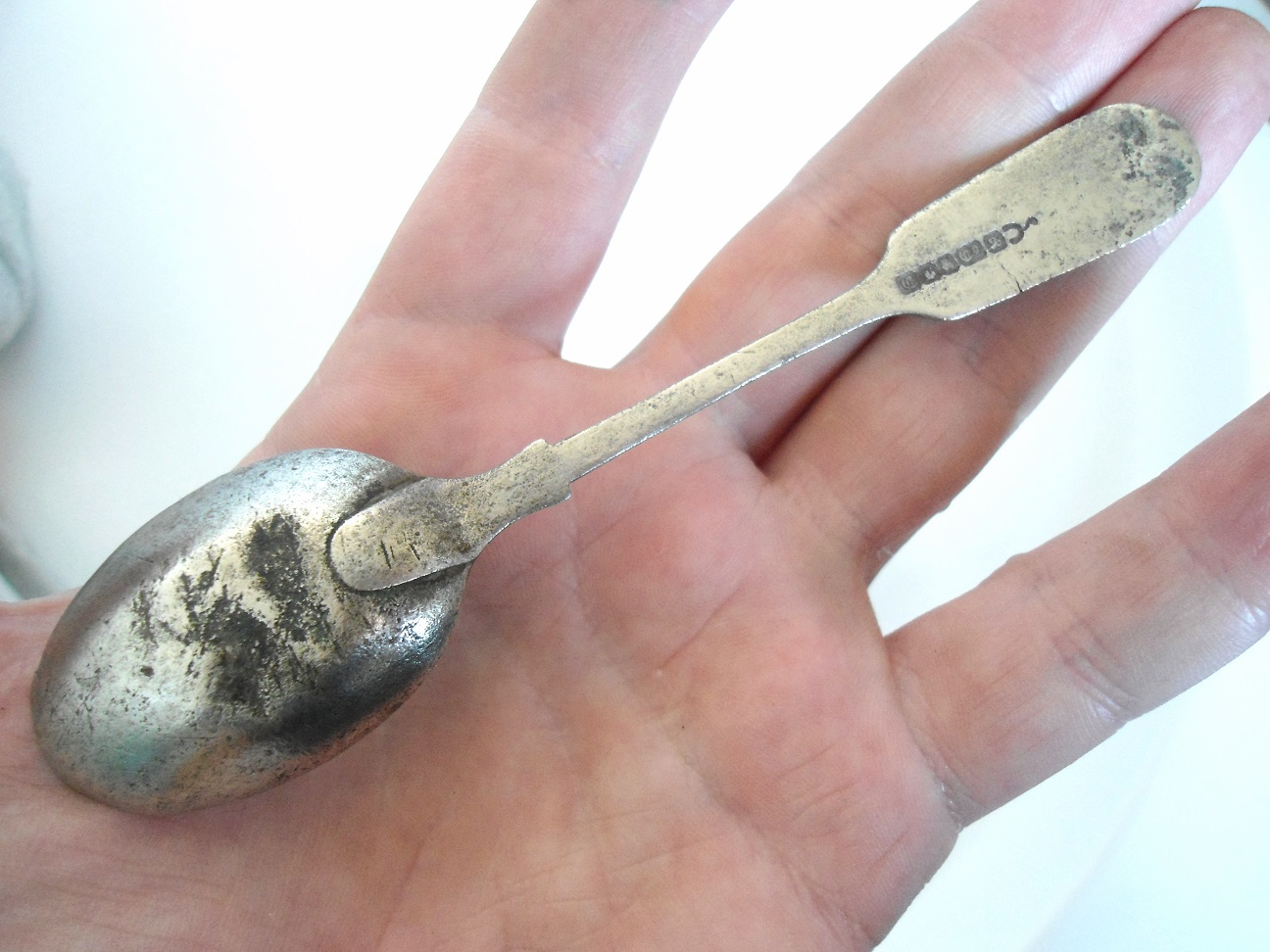 Aviary Photo_132451635373291630.jpg