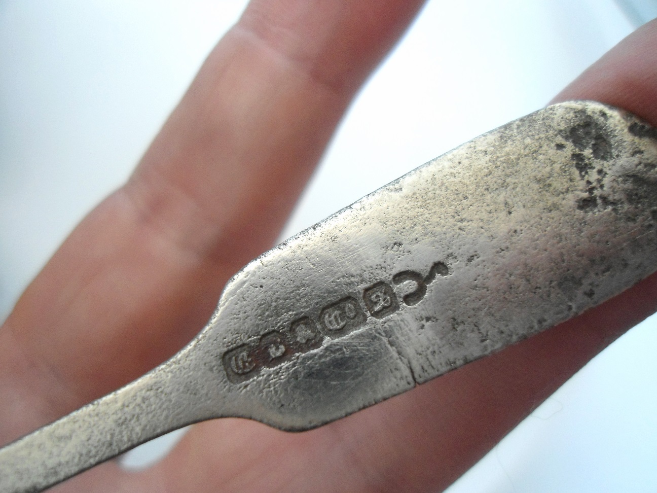 Aviary Photo_132451637071570324.jpg