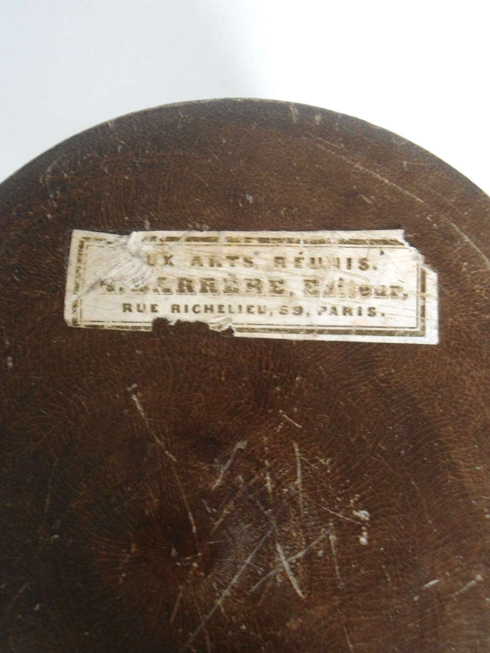 Aviary Photo_132461309342999635.jpg