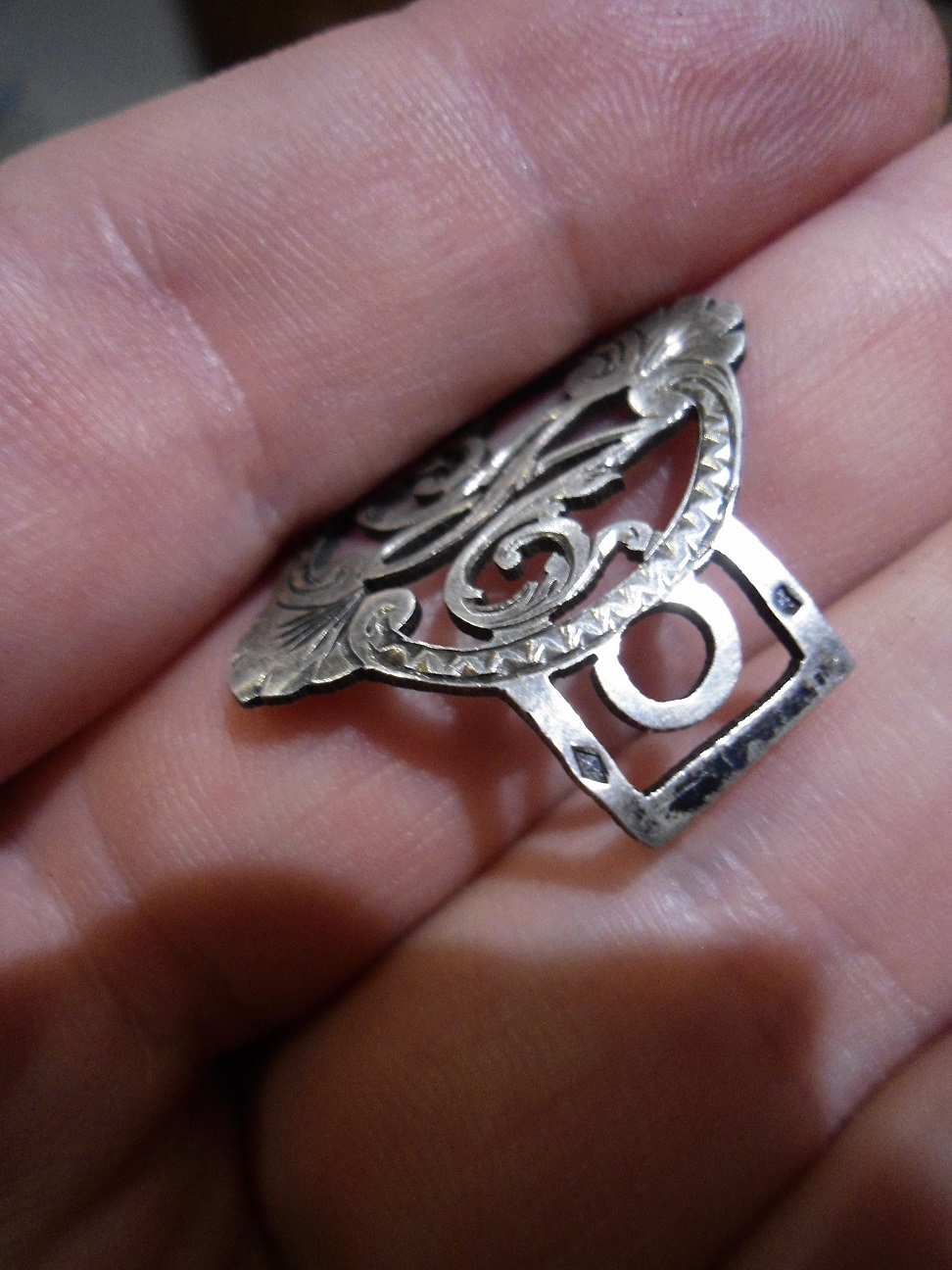 Aviary Photo_132469153760805939.jpg