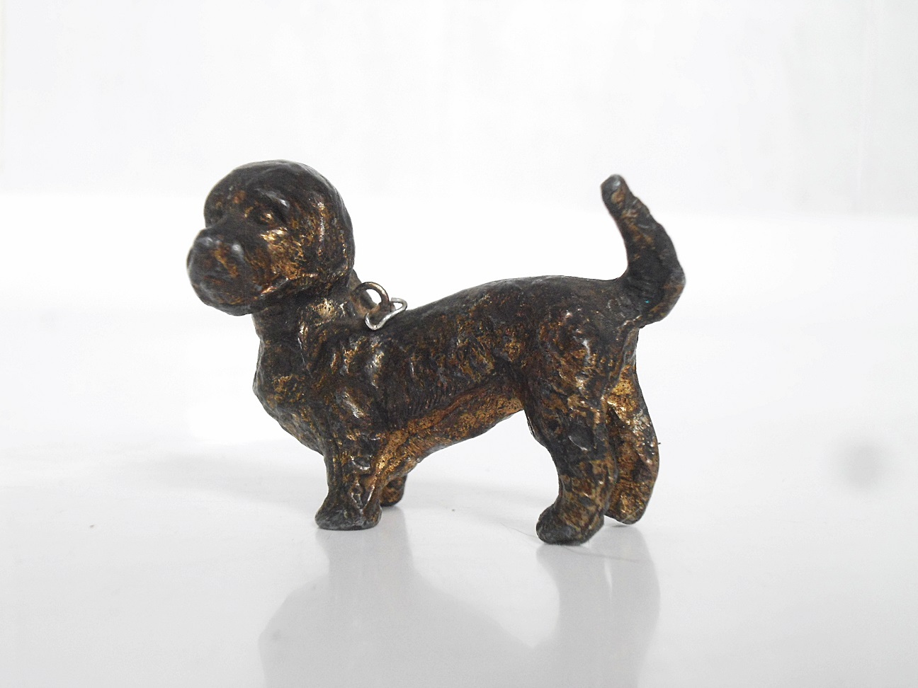 Aviary Photo_132488960673160177.jpg