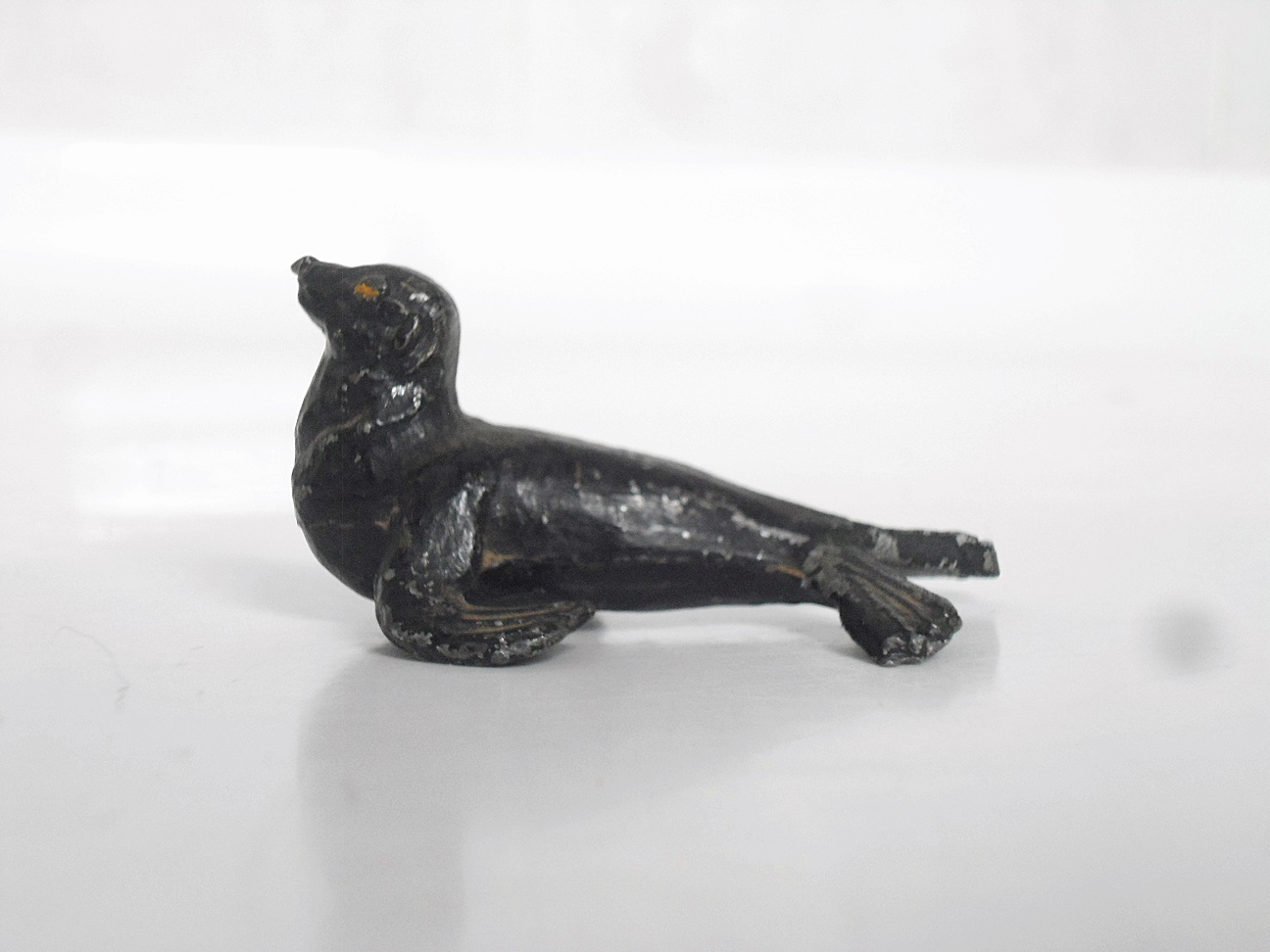 Aviary Photo_132489092155146639.jpg