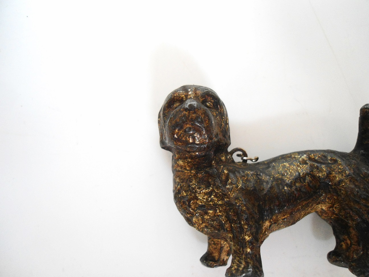 Aviary Photo_132489096323164019.jpg