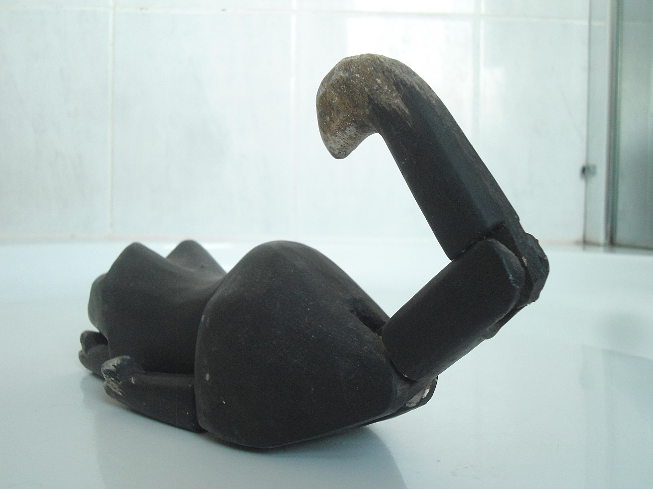 Aviary Photo_132507887709557076.jpg