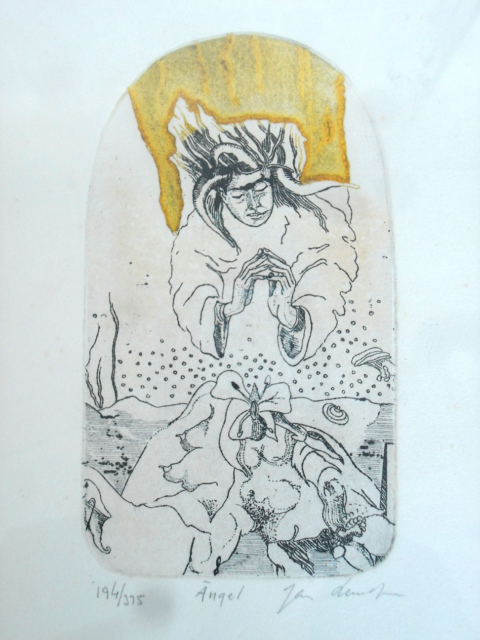 Aviary Photo_132528608032368318.jpg