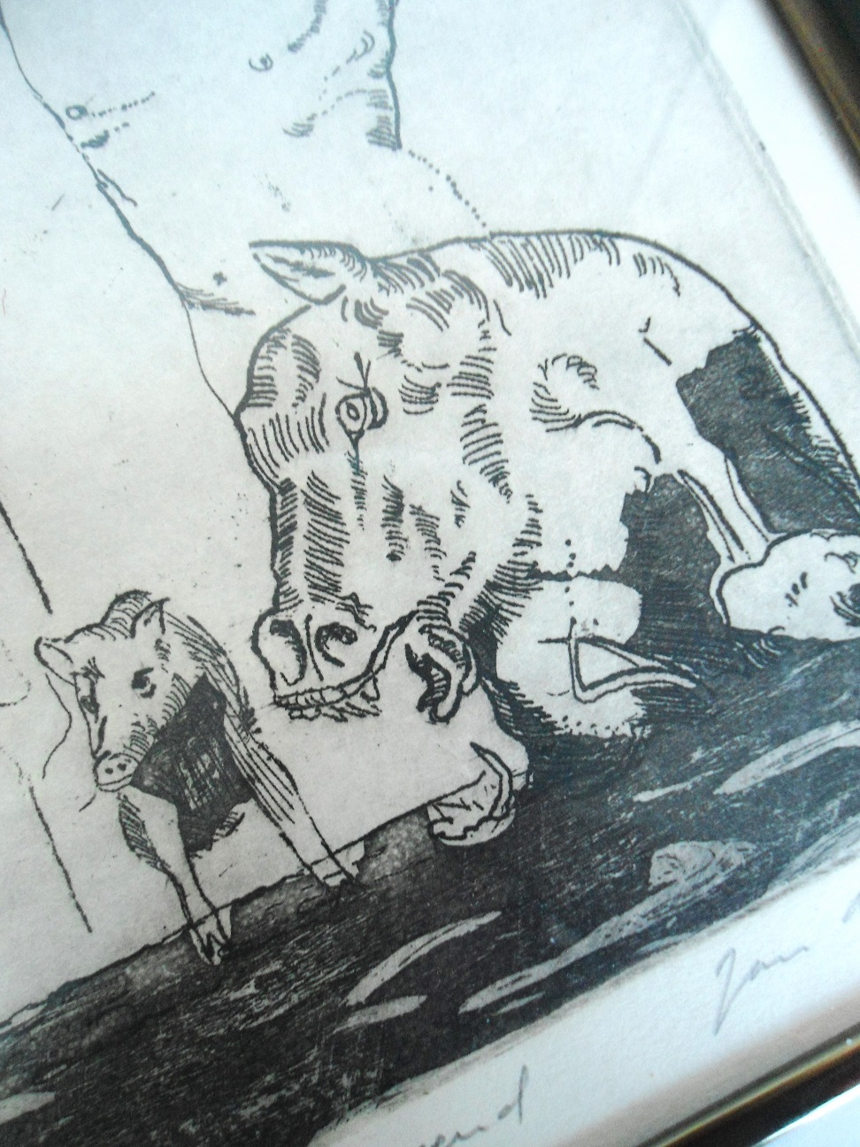 Aviary Photo_132528609658036836.jpg