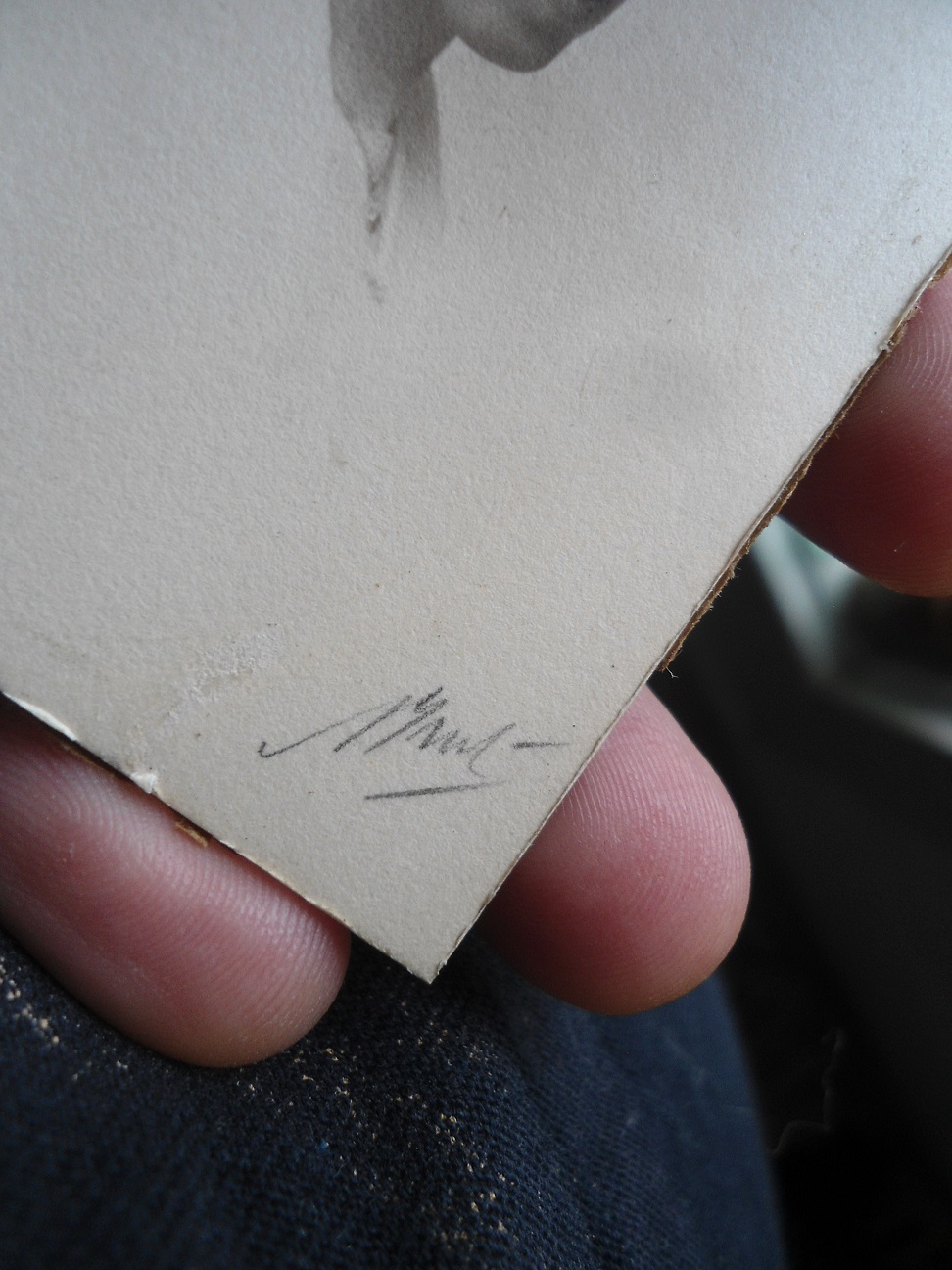 Aviary Photo_132583080093653925.jpg