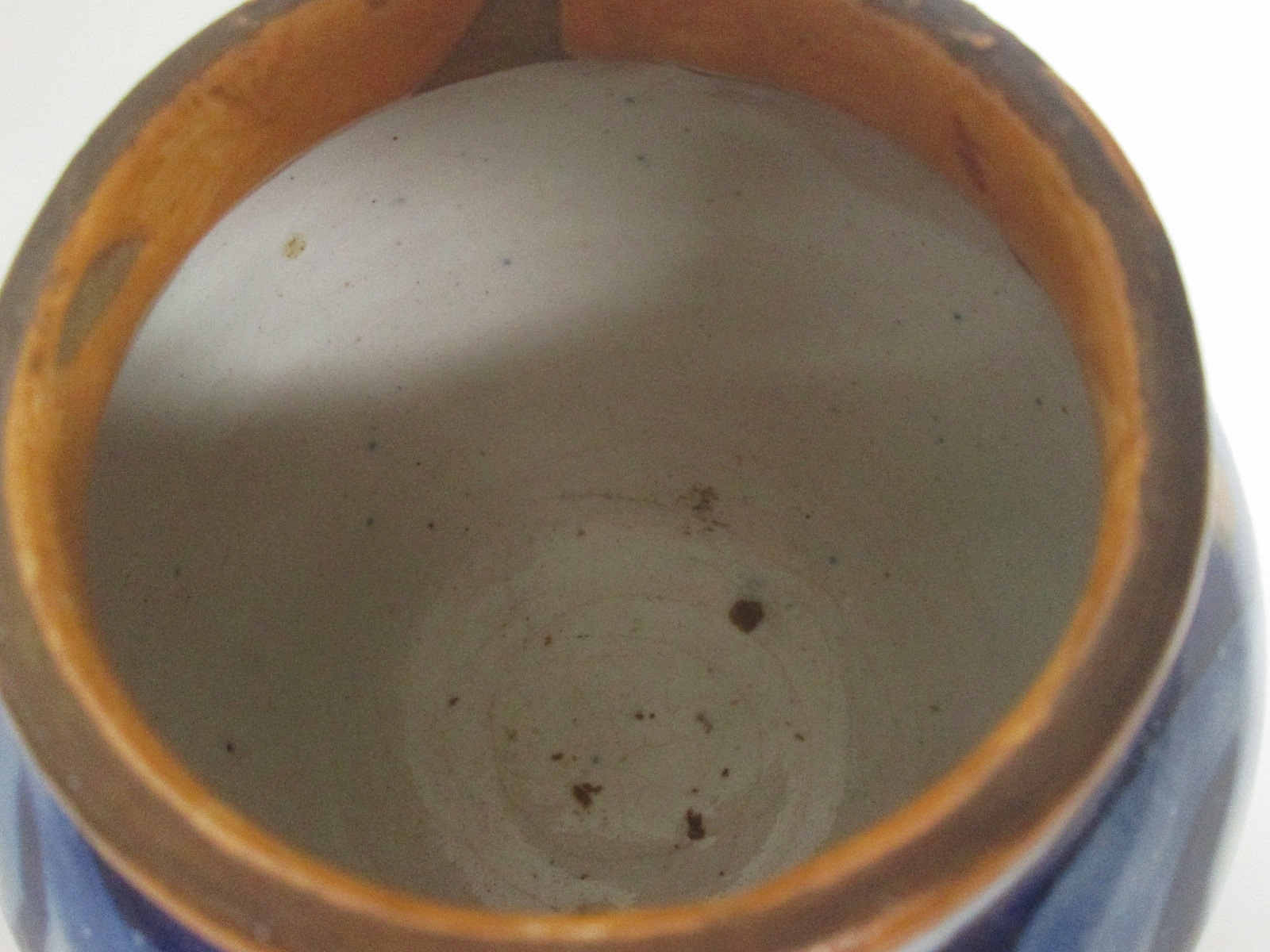 Aviary Photo_132915833287431481.jpg