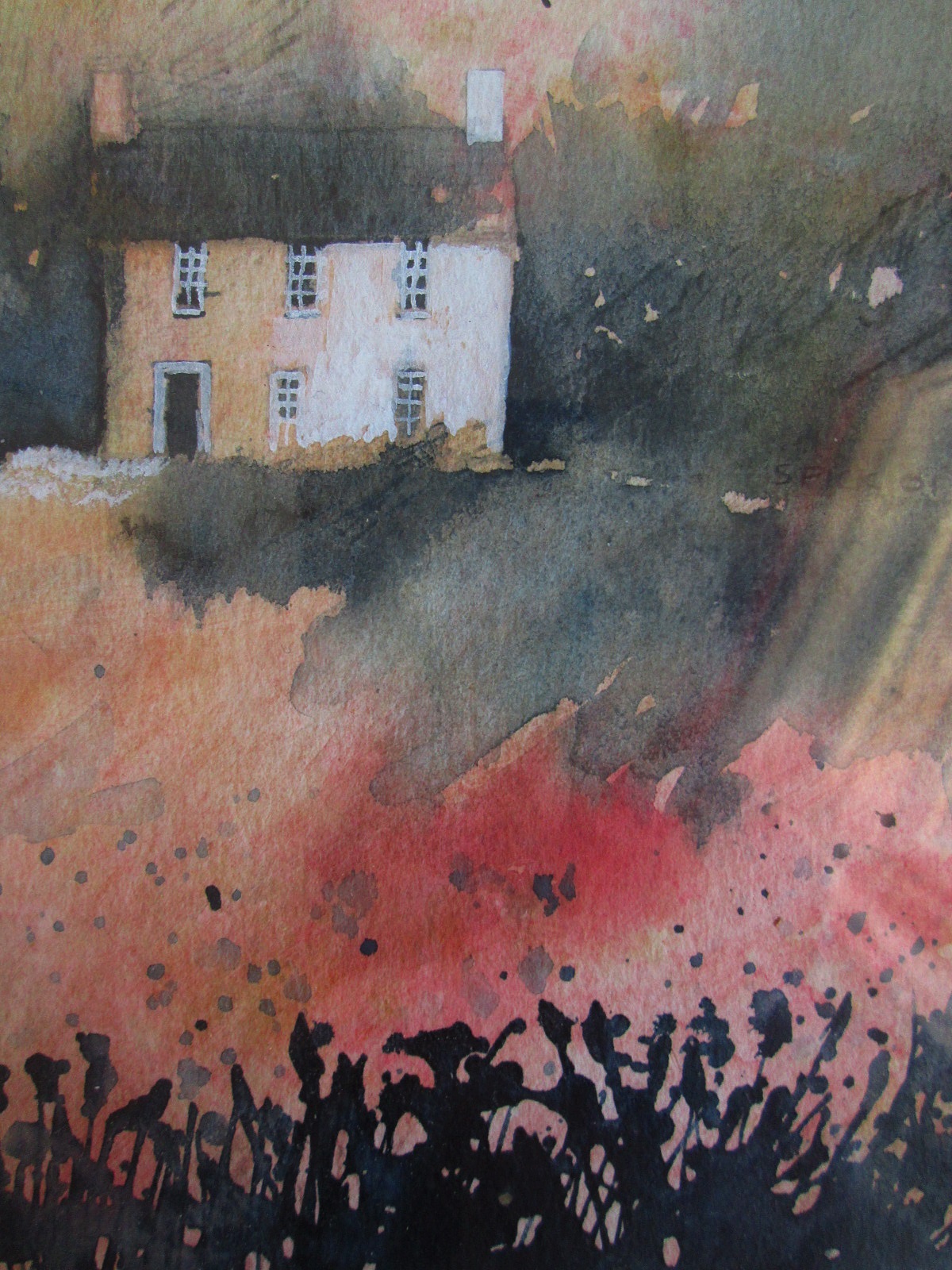 Aviary Photo_132985933864433694.jpg