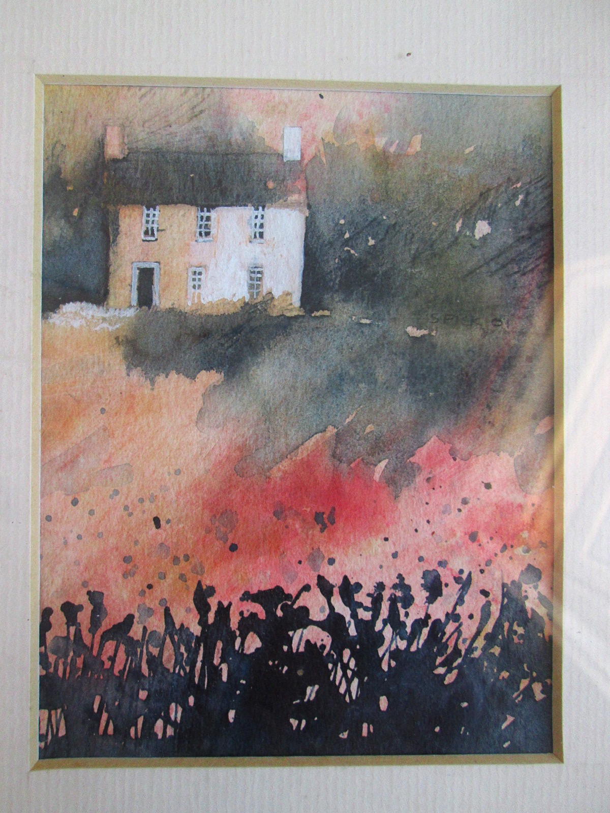 Aviary Photo_132985935210102647.jpg