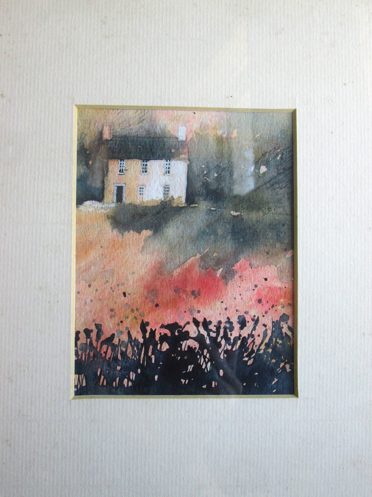 Aviary Photo_132985936579831385.jpg