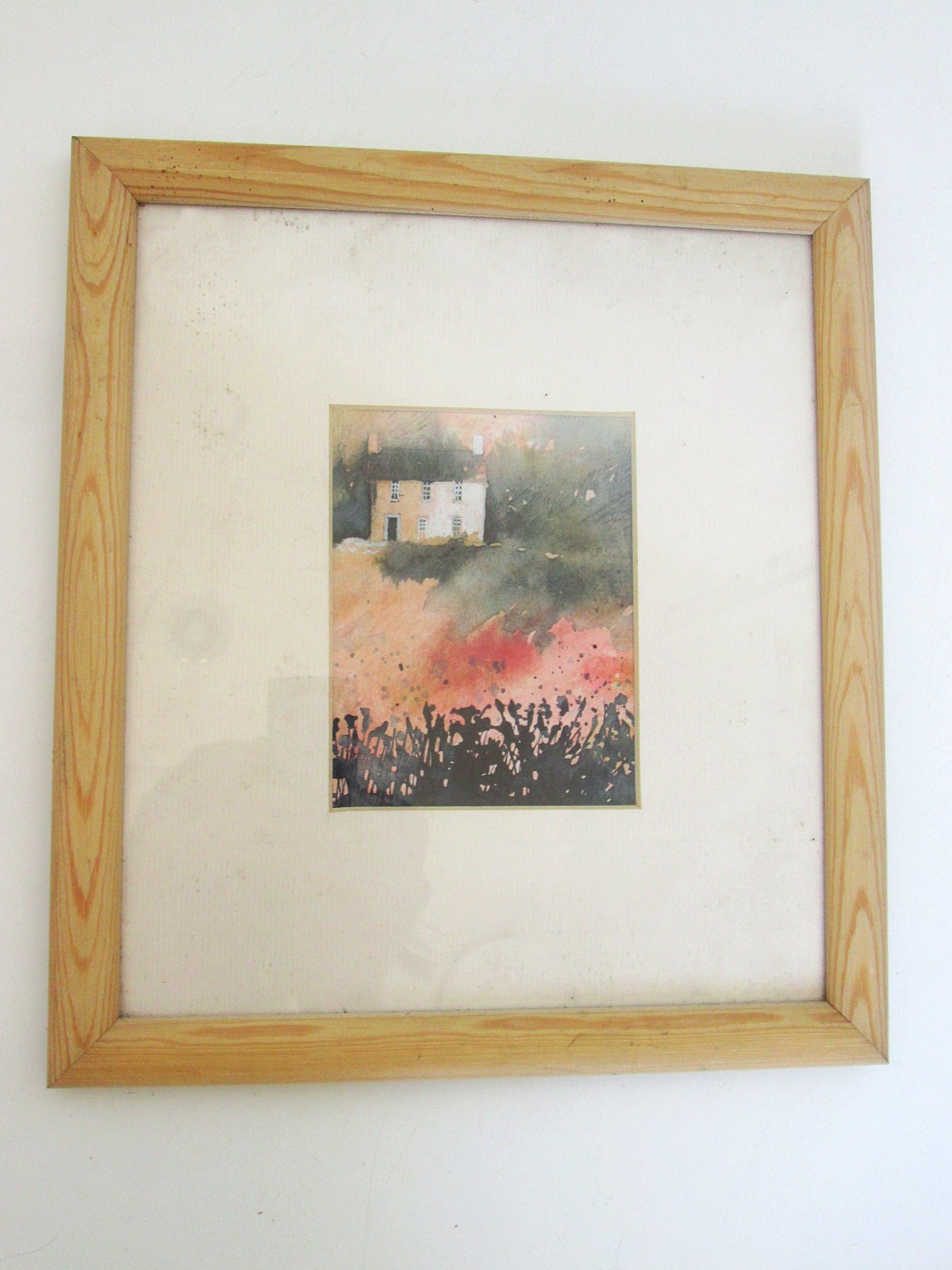 Aviary Photo_132985938938728764.jpg