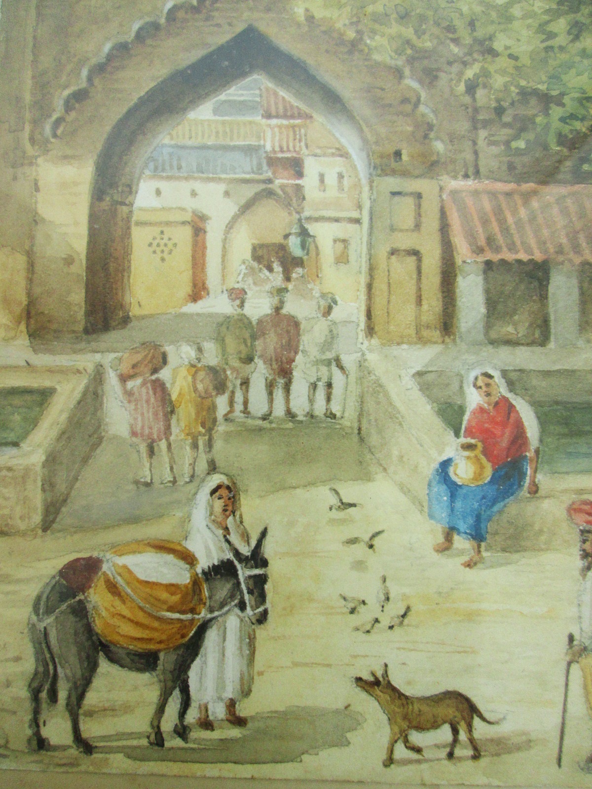 Aviary Photo_133003957572302720.jpg