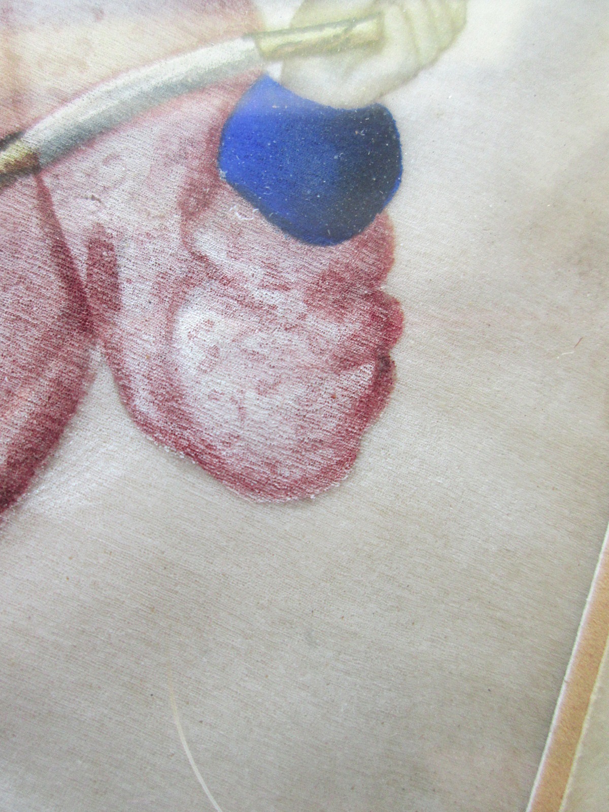 Aviary Photo_133022950053066321.jpg