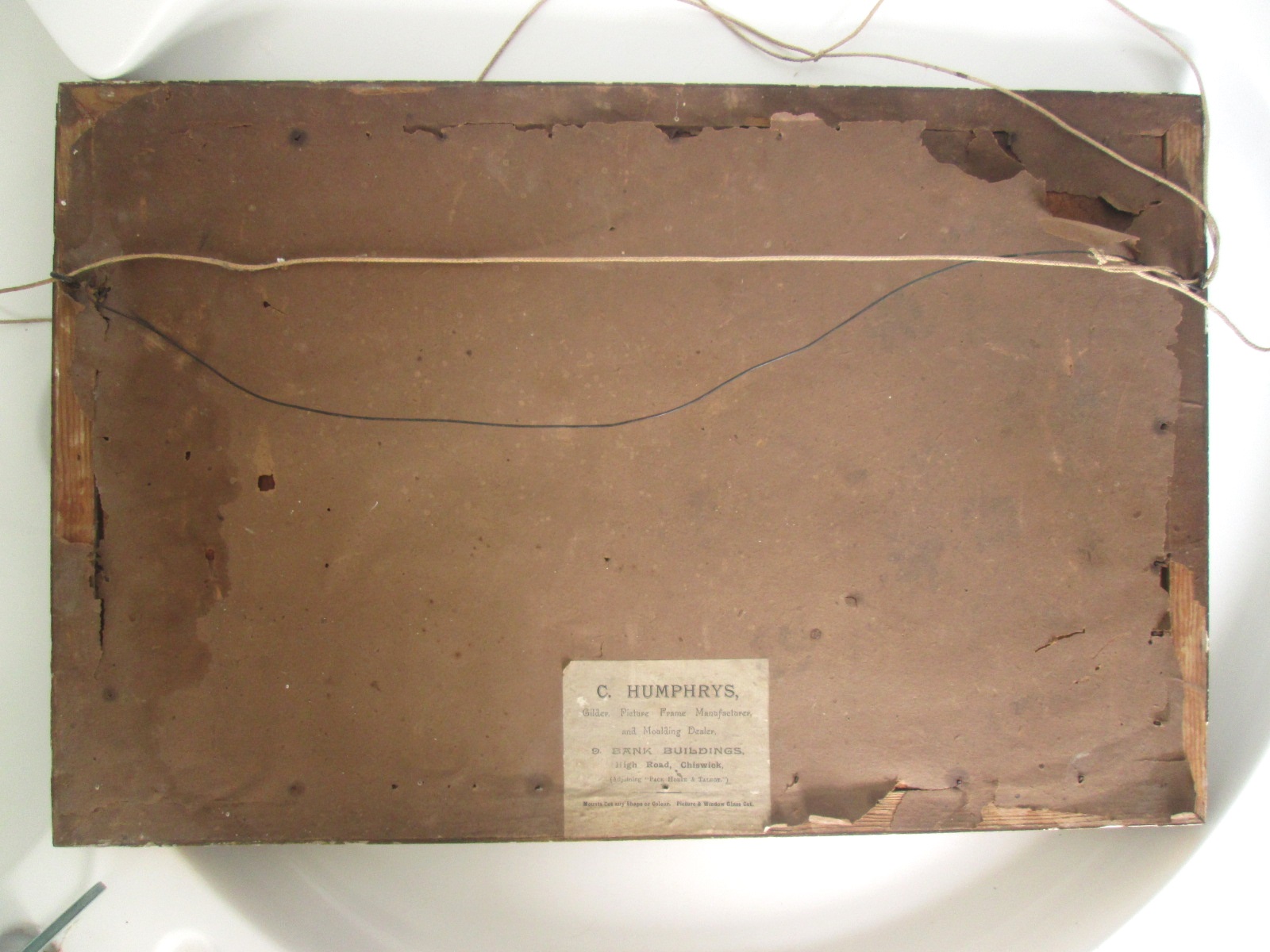 Aviary Photo_133099764678373015.jpg