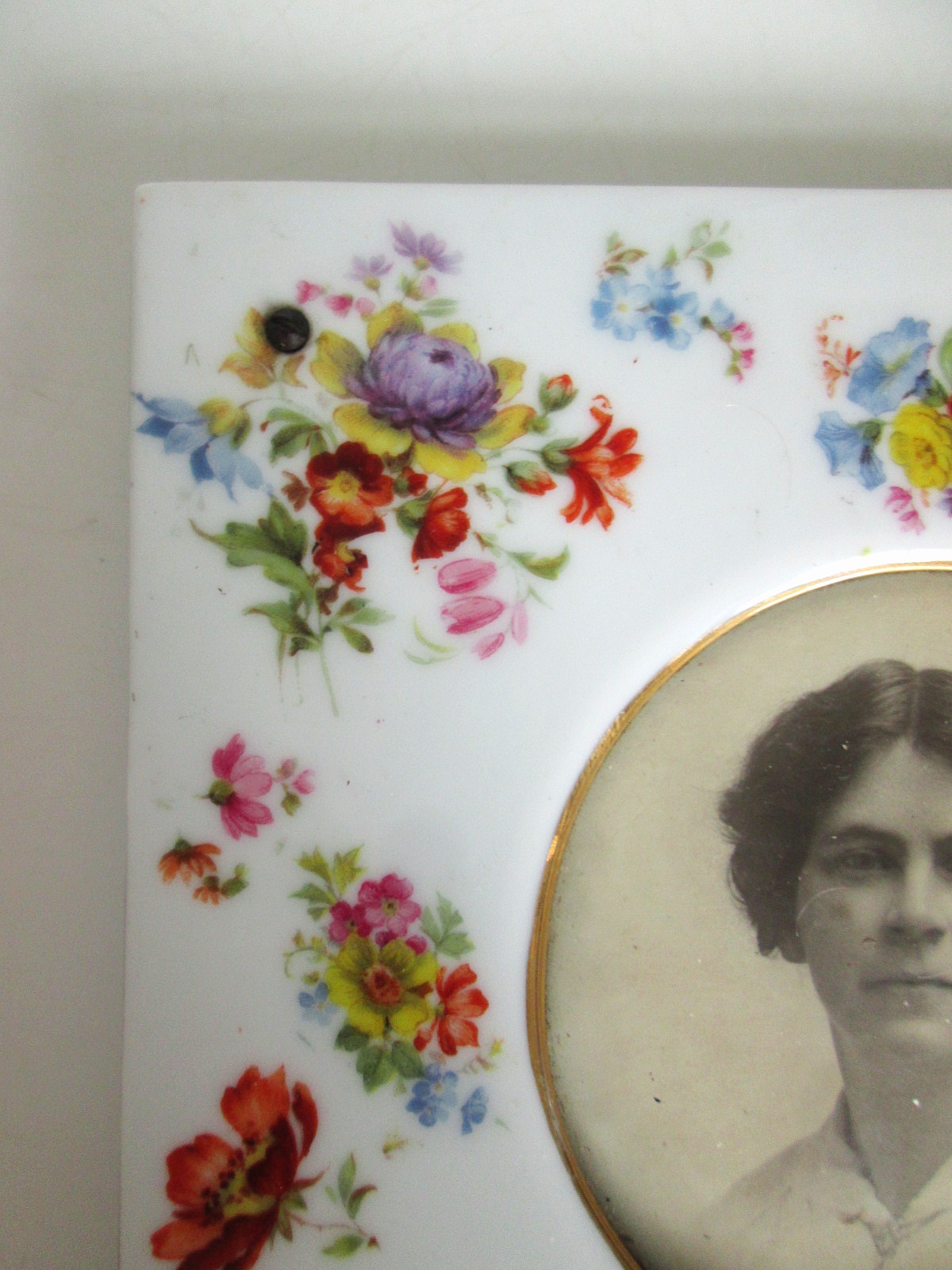 Aviary Photo_133149052583933501.jpg