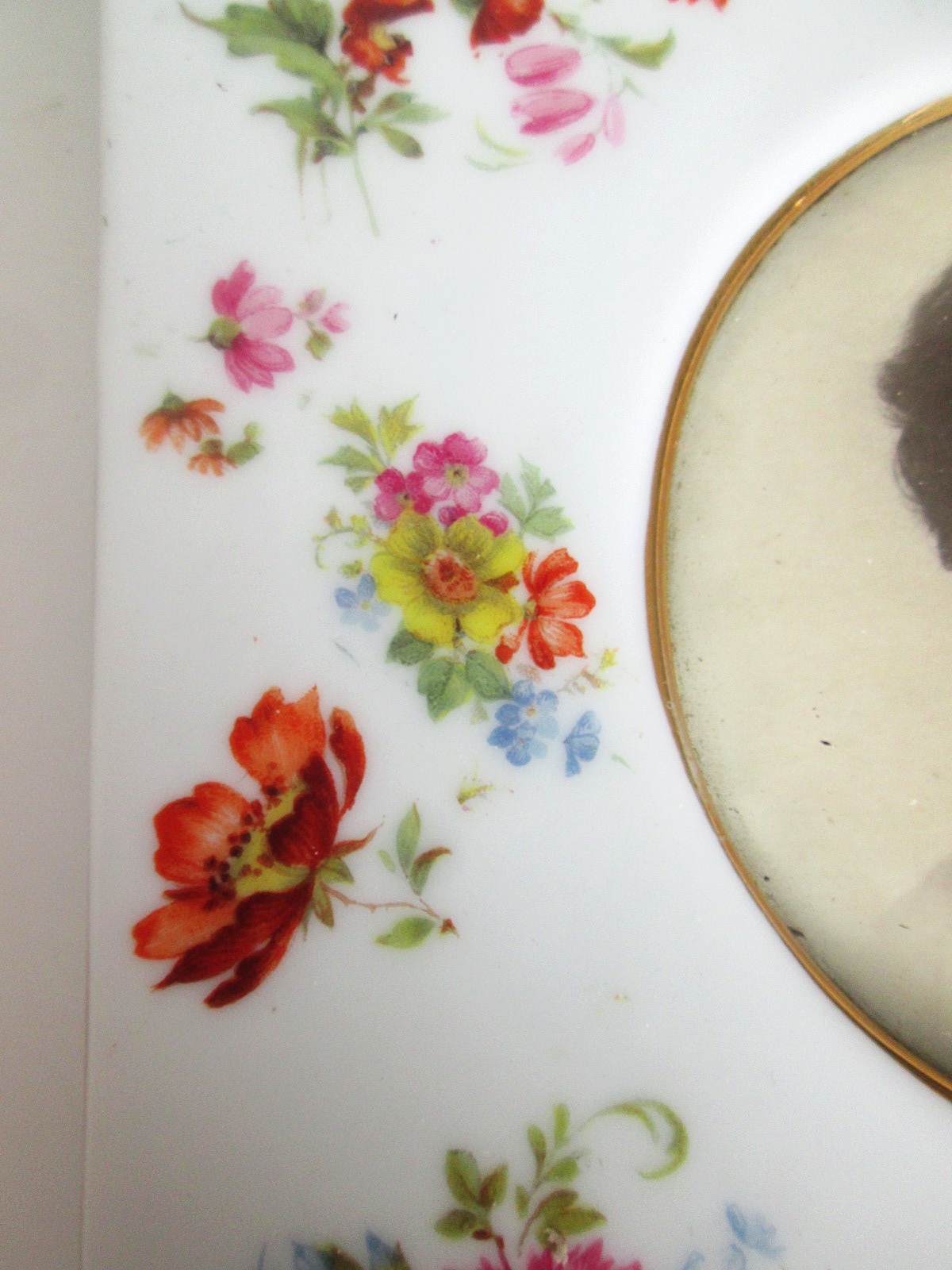 Aviary Photo_133149053859978723.jpg