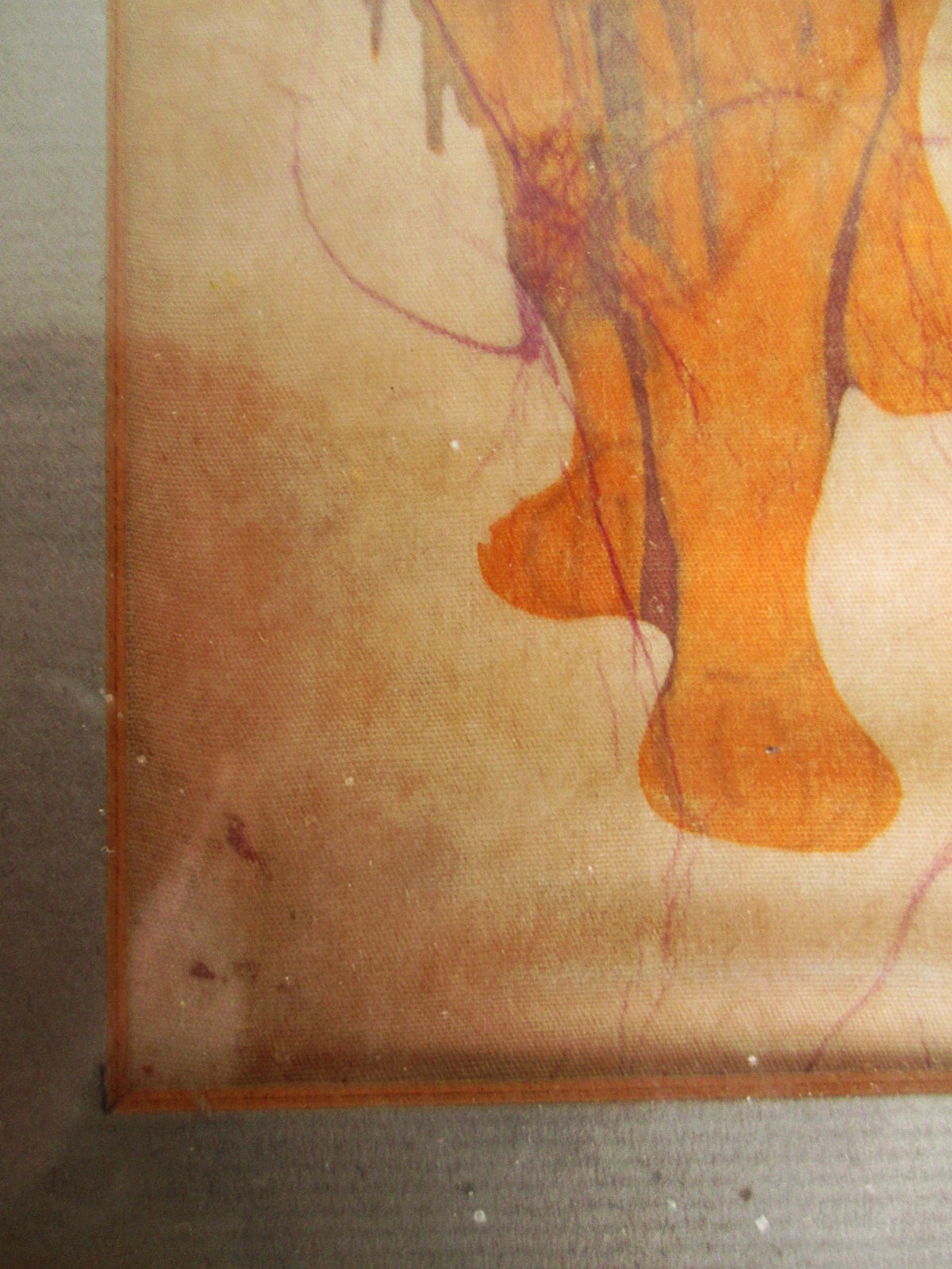 Aviary Photo_133191357826878508.jpg