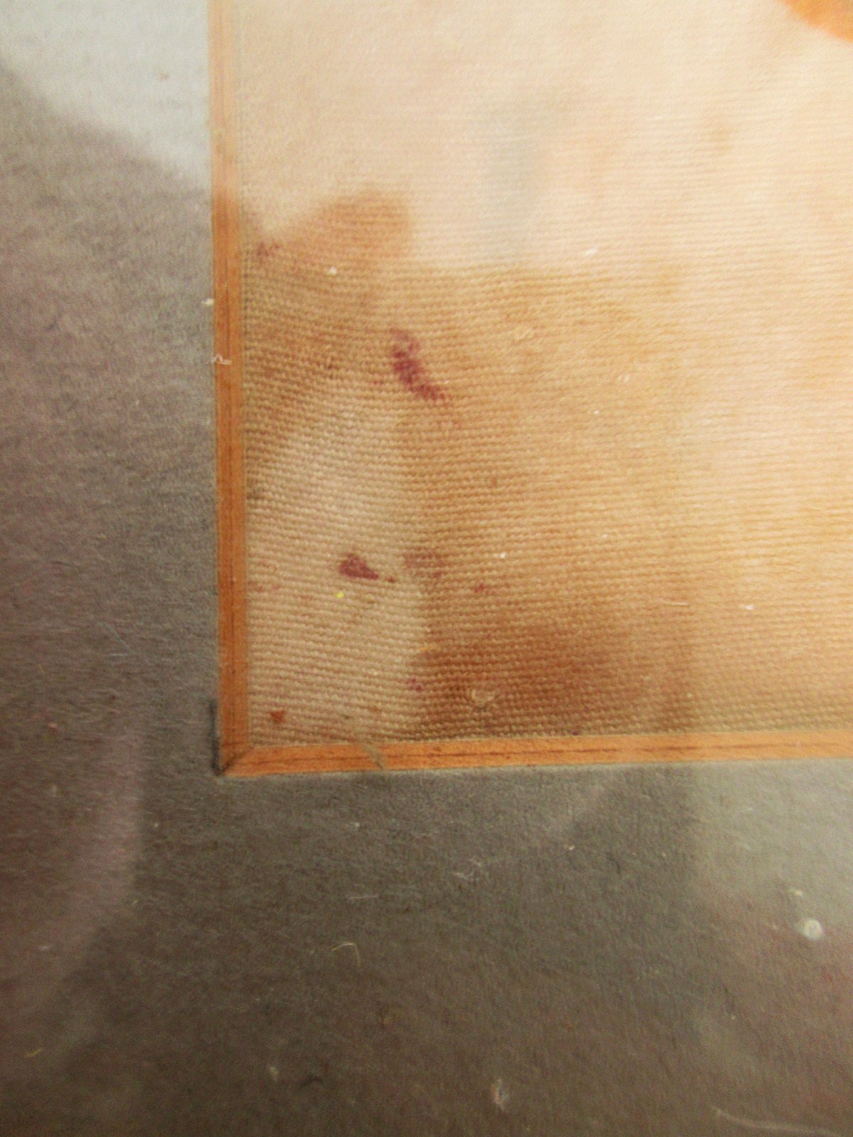 Aviary Photo_133191359626337335.jpg