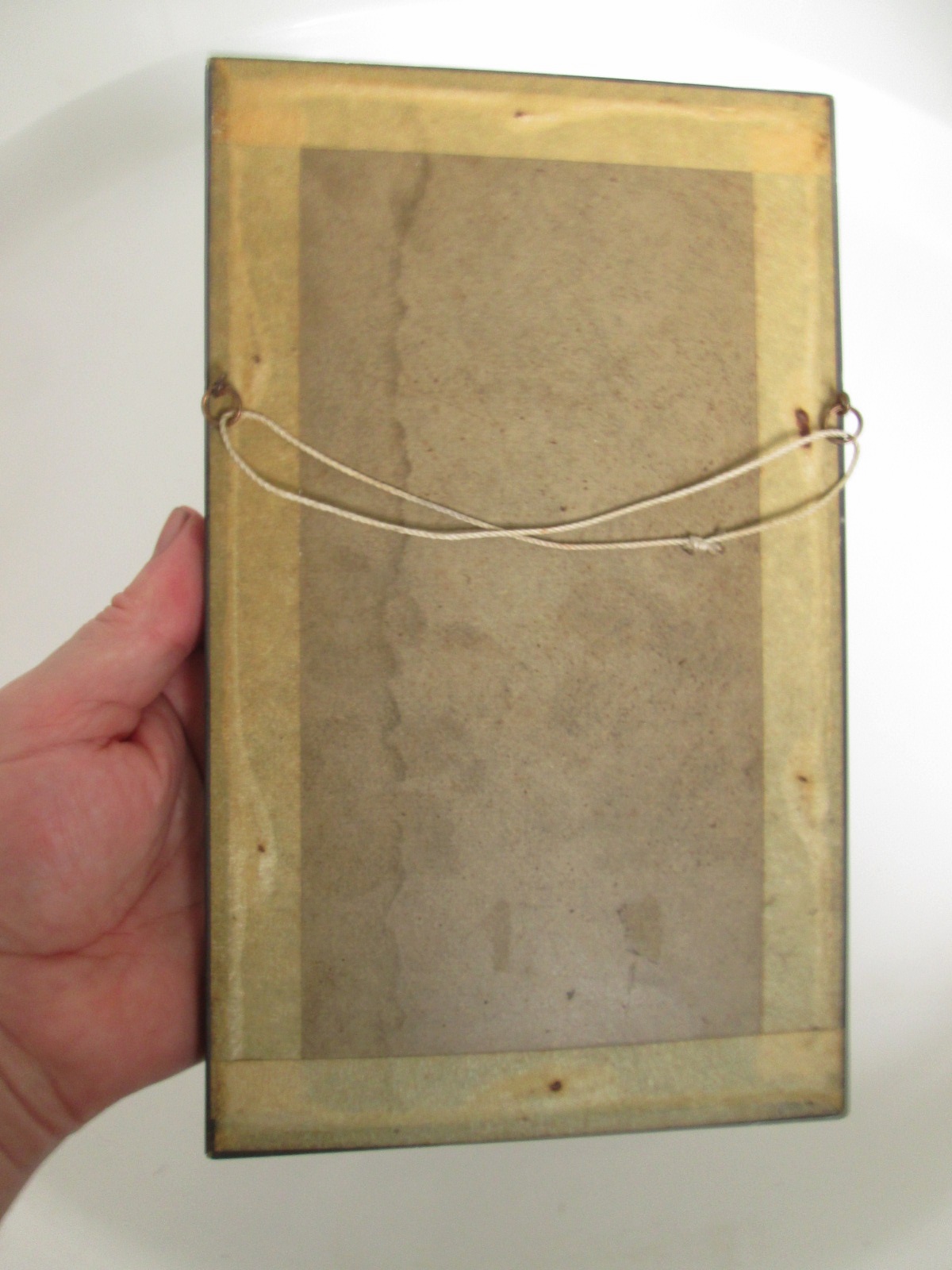 Aviary Photo_133191360634749832.jpg