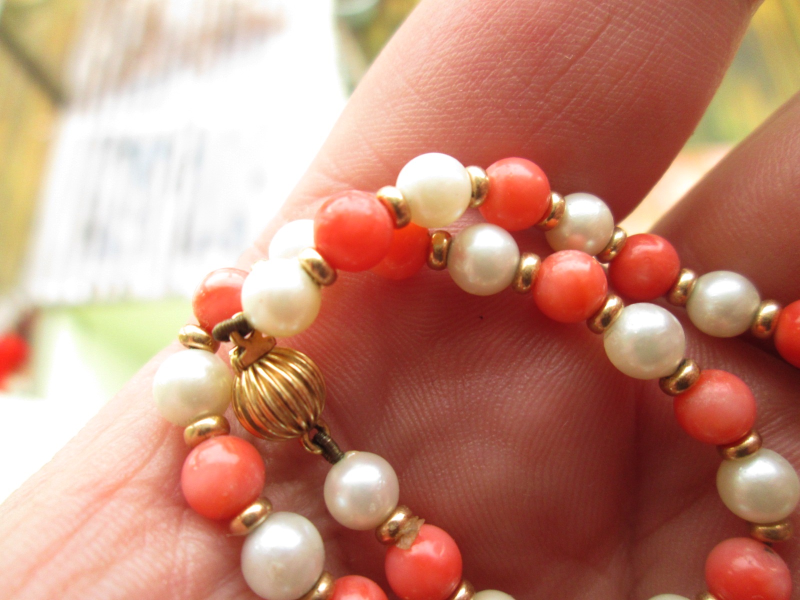 Aviary Photo_133202664562585540.jpg