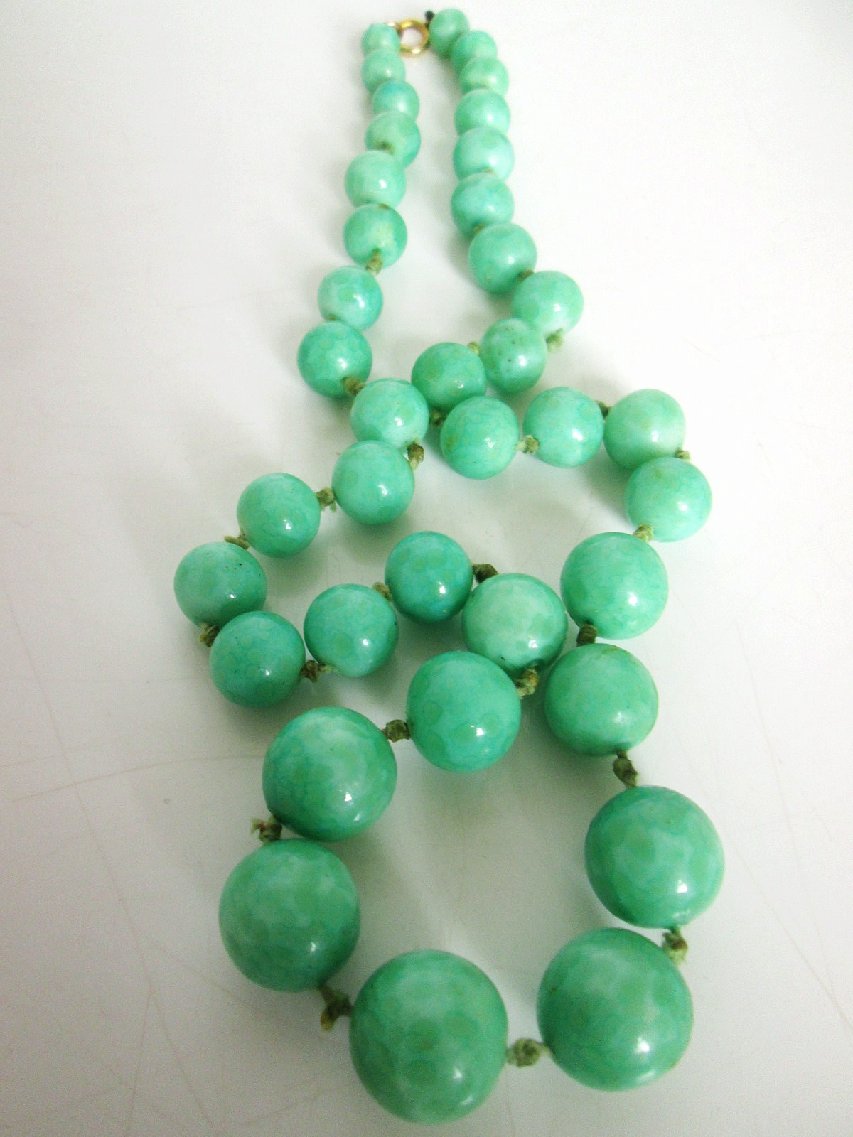 Aviary Photo_133202690908862032.jpg