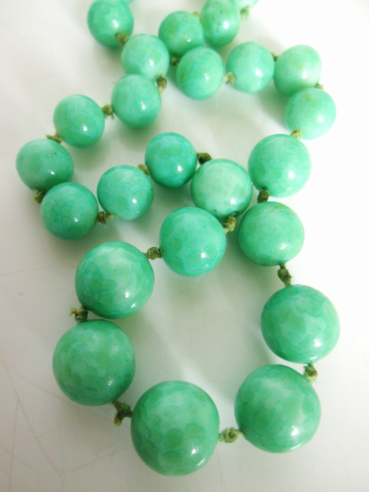 Aviary Photo_133202691866406120.jpg