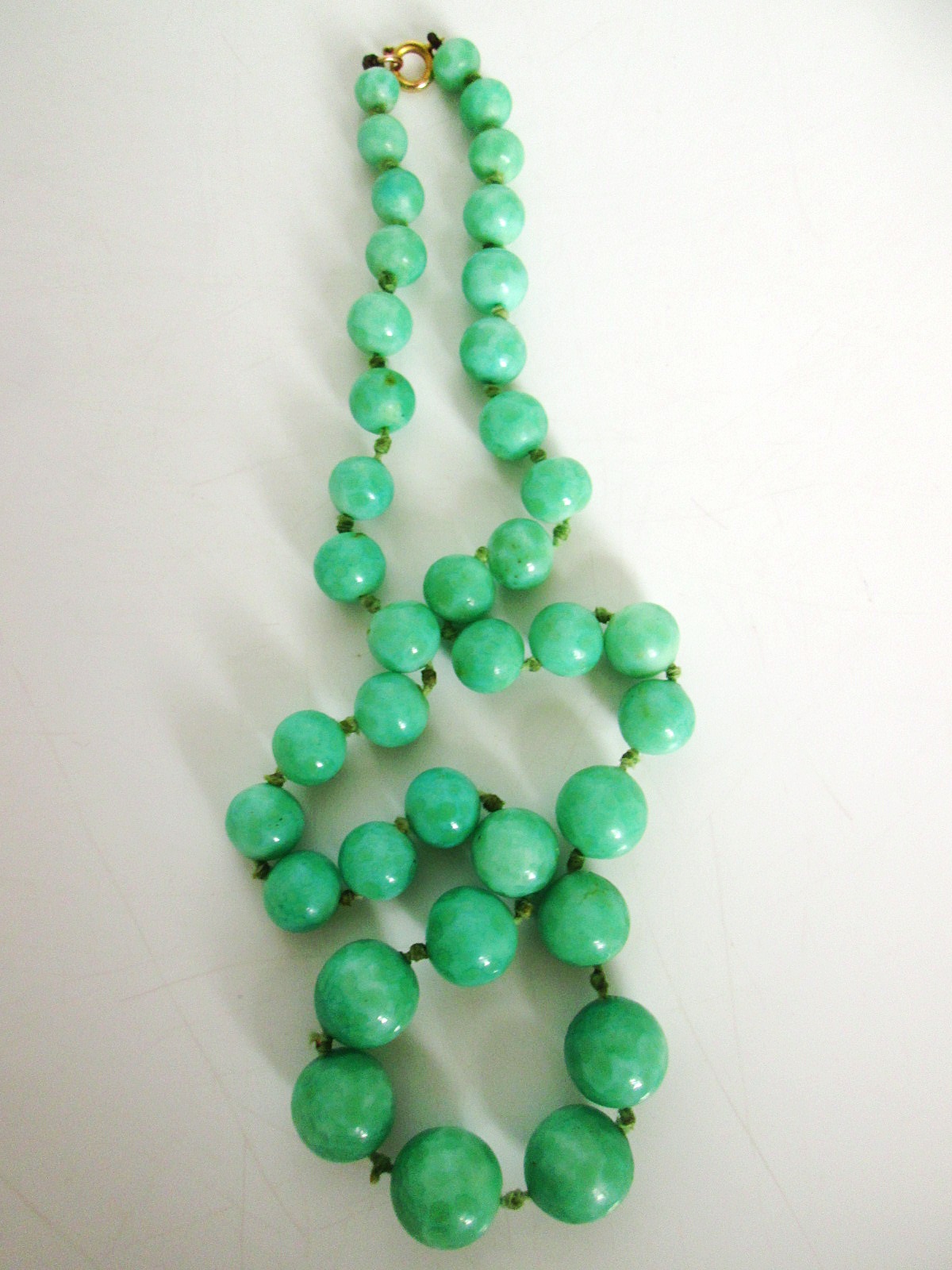 Aviary Photo_133202693222861968.jpg