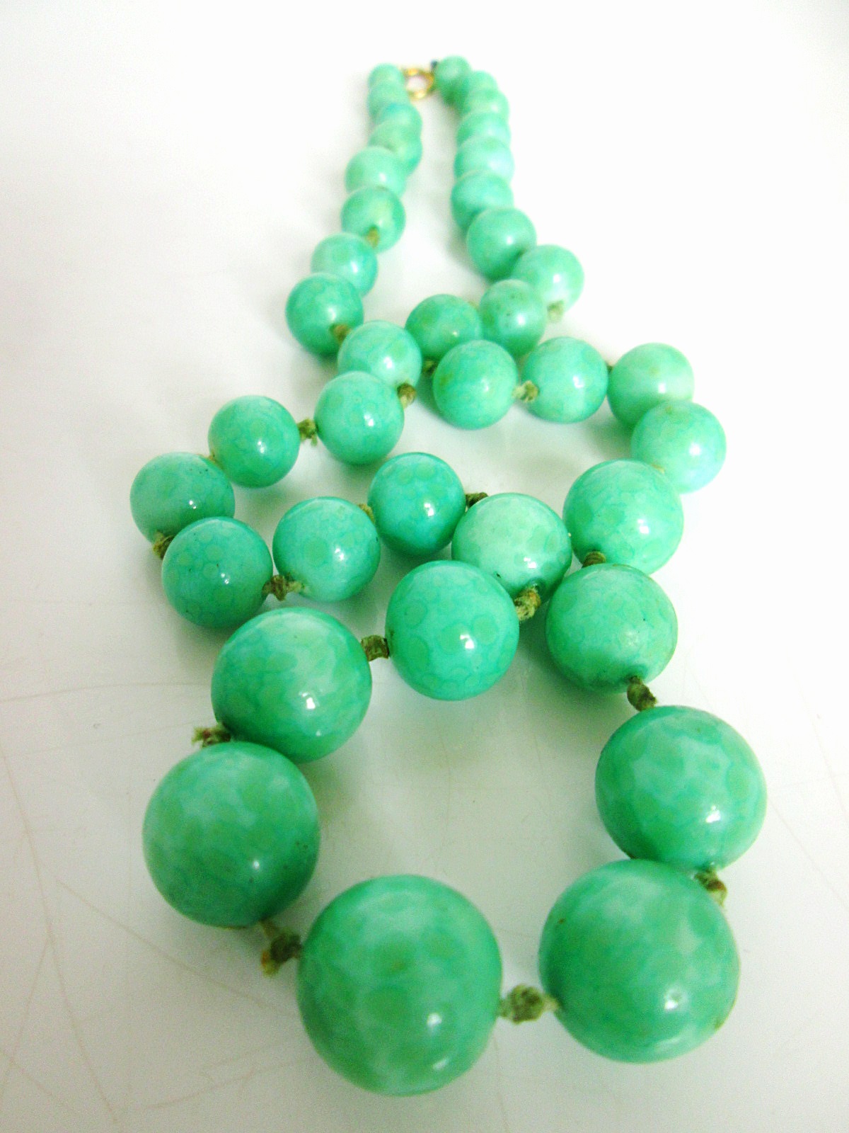 Aviary Photo_133202694536334161.jpg