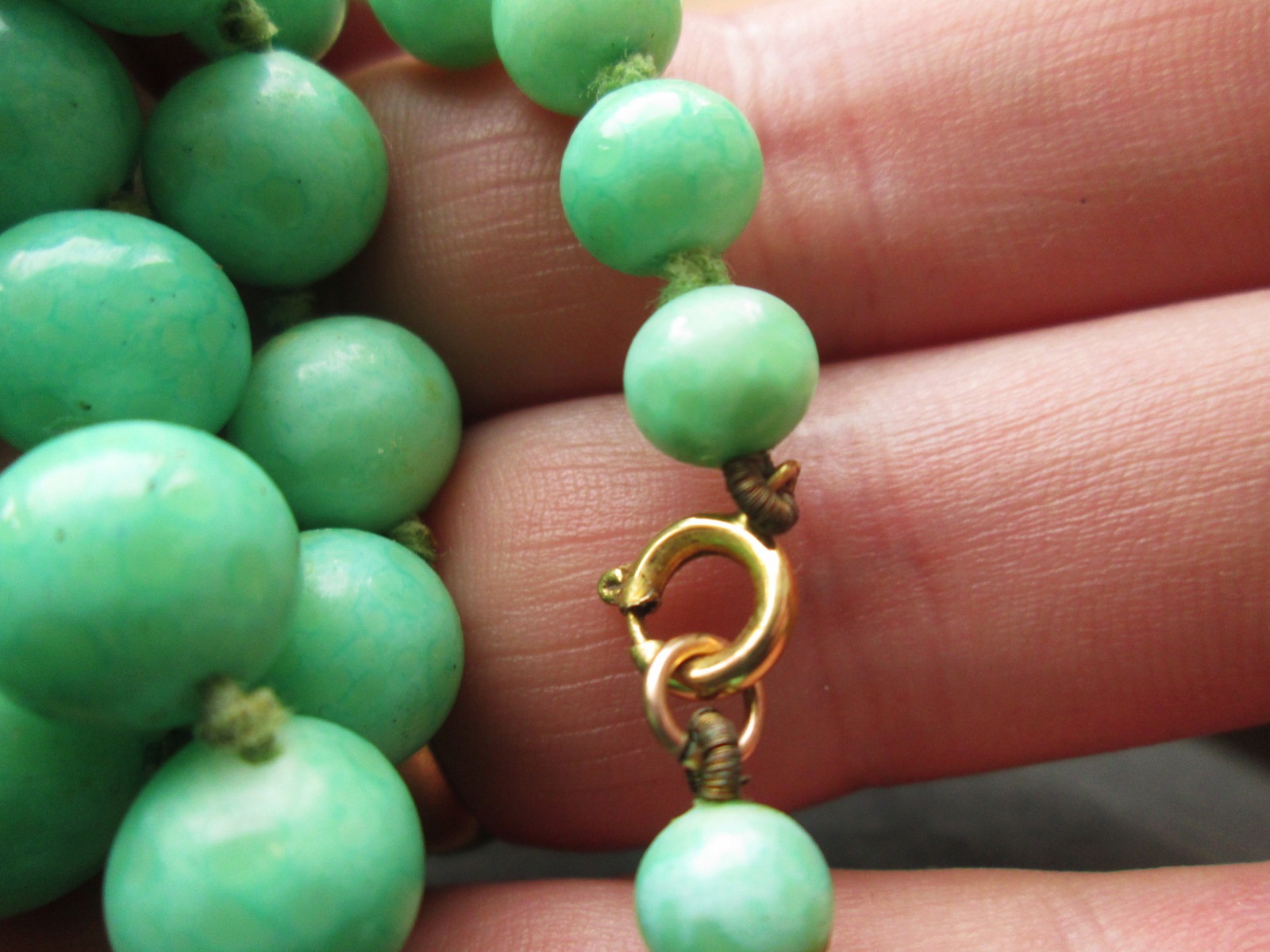 Aviary Photo_133202696732414552.jpg