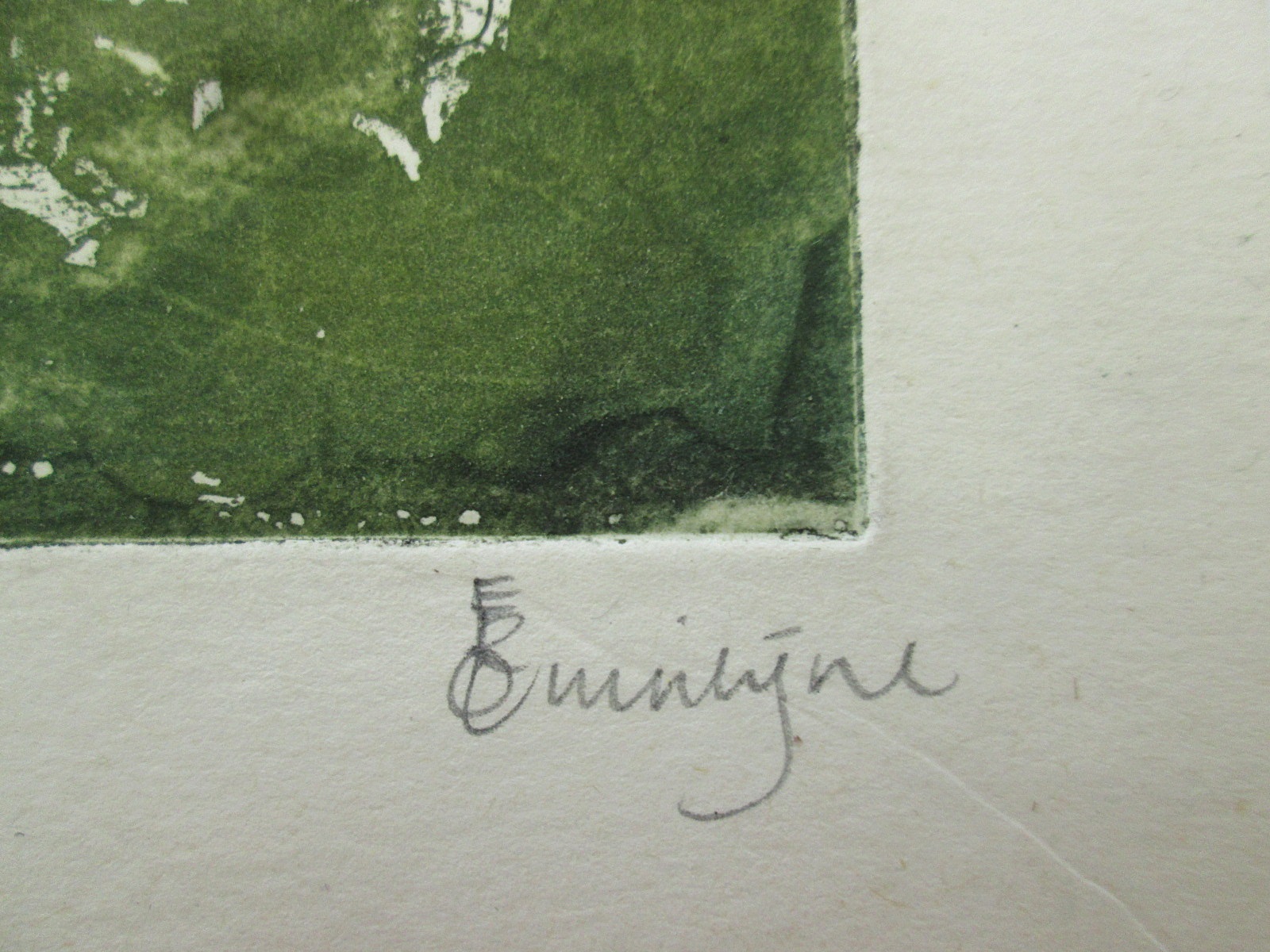 Aviary Photo_133284719944238612.jpg