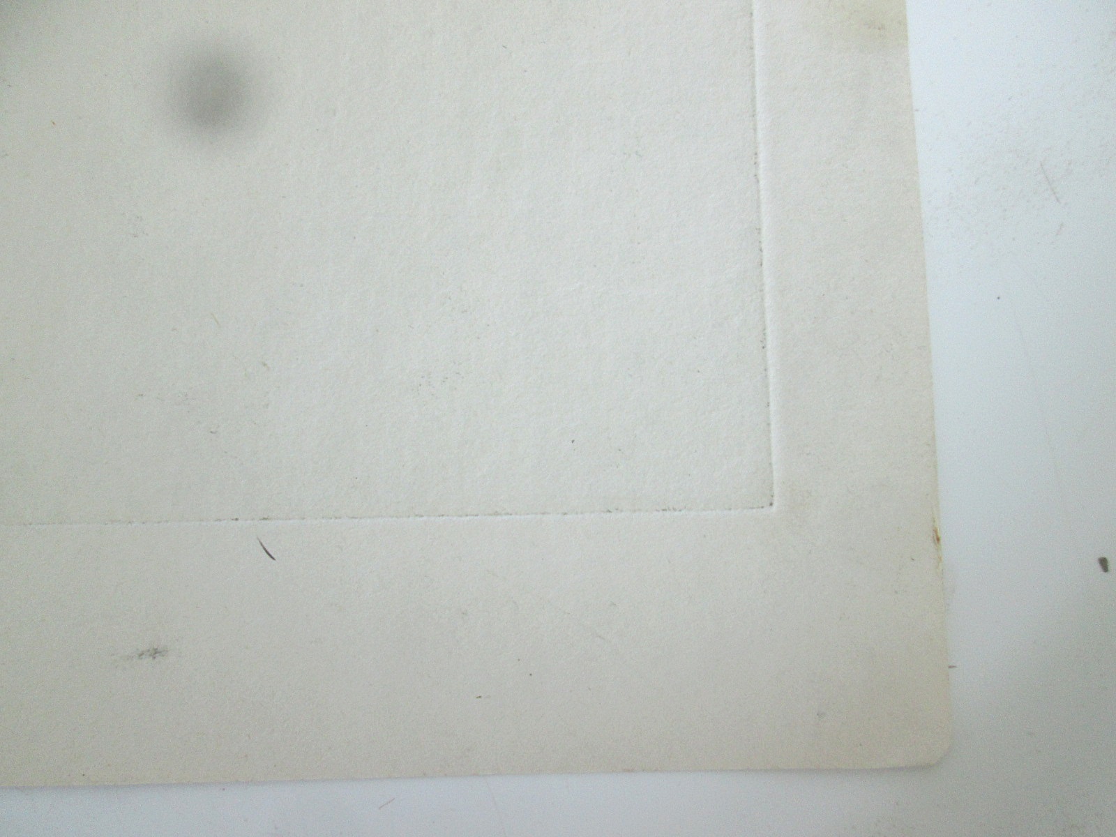 Aviary Photo_133284723110091649.jpg