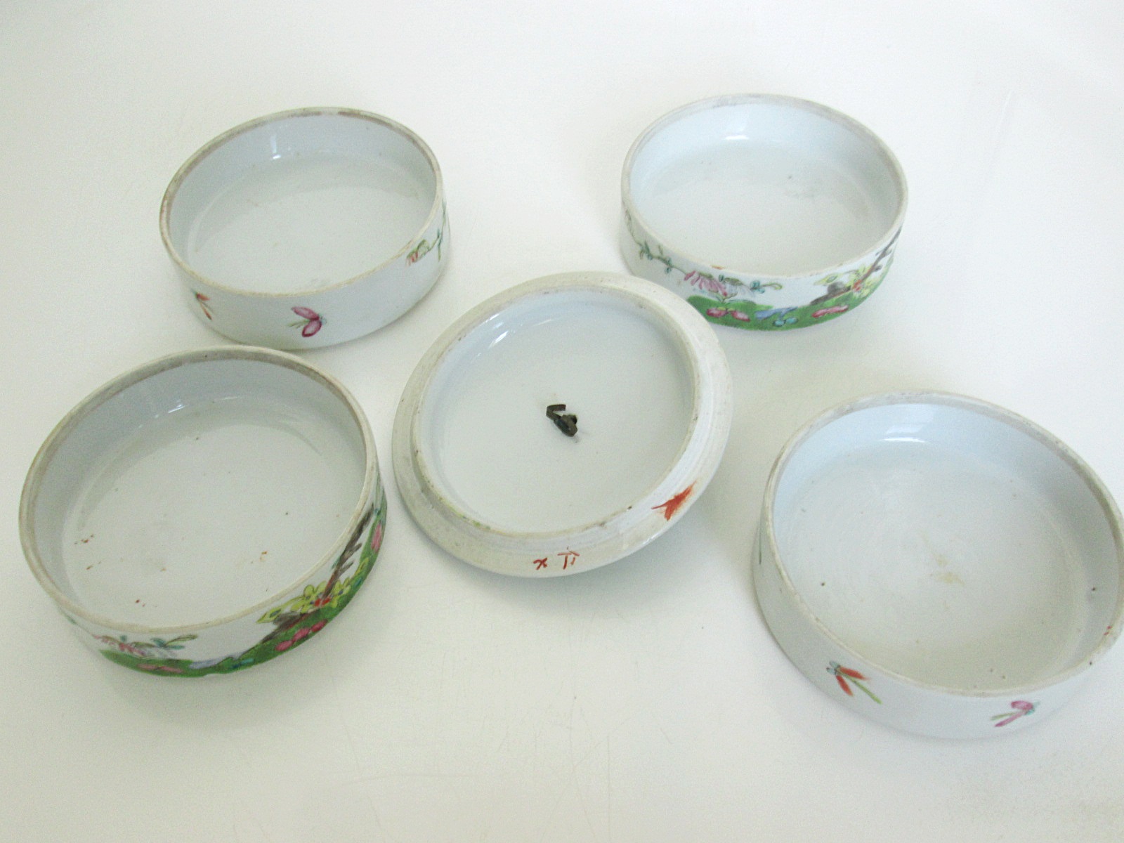 Aviary Photo_133337612067038339.jpg