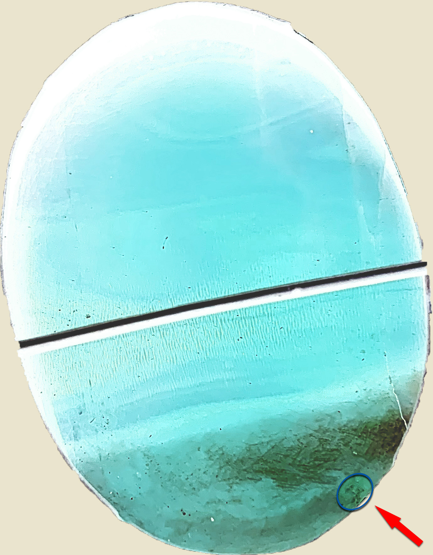 BACK OF CAMEO-Dawns.jpg