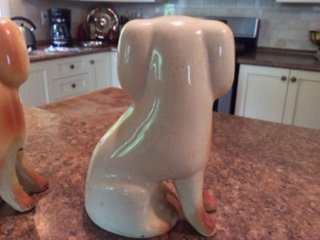 Back of dog.JPG