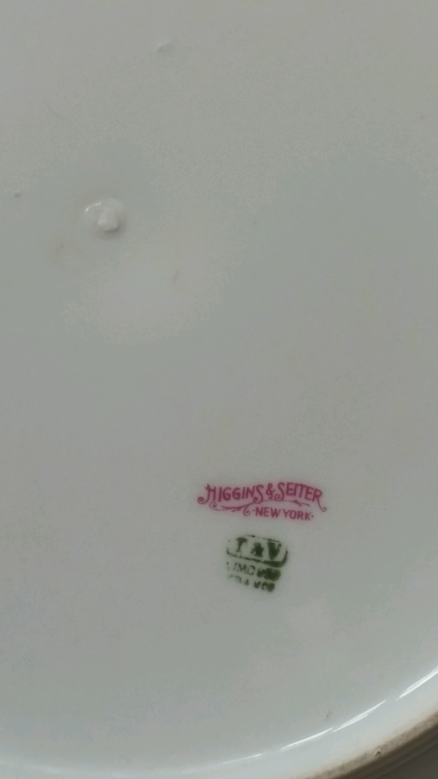 back of plate.jpg