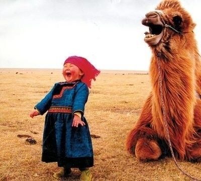Bactrian camel--pure-joy-make-me-smile.jpg