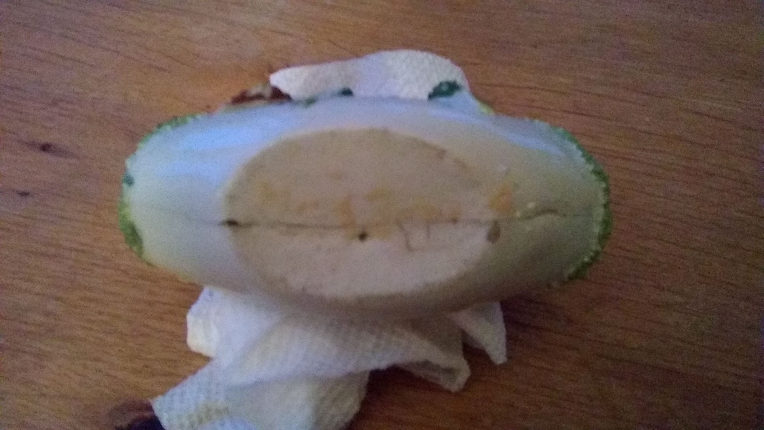 basketbottom.jpg