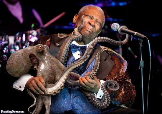 BB-King-and-Plays-an-Octopus-119150.jpg