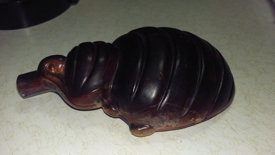 bed bug bottle 1.jpg