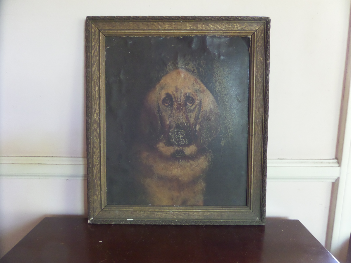 BEV_Hound-2.jpg