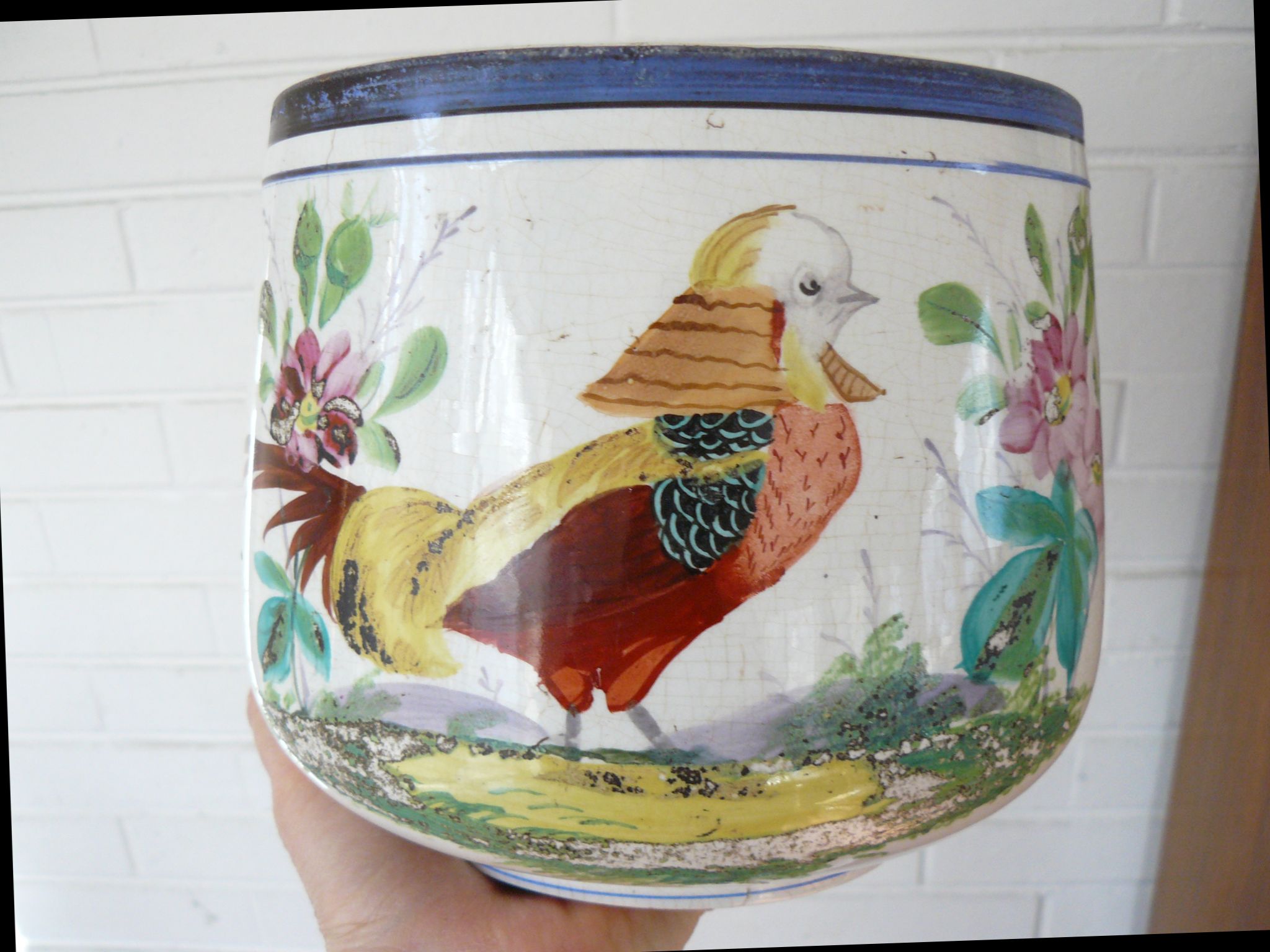 bird1.jpg