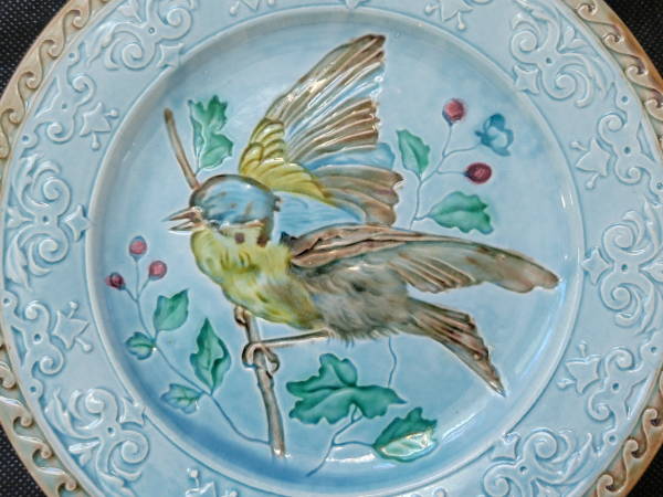 birds5.JPG
