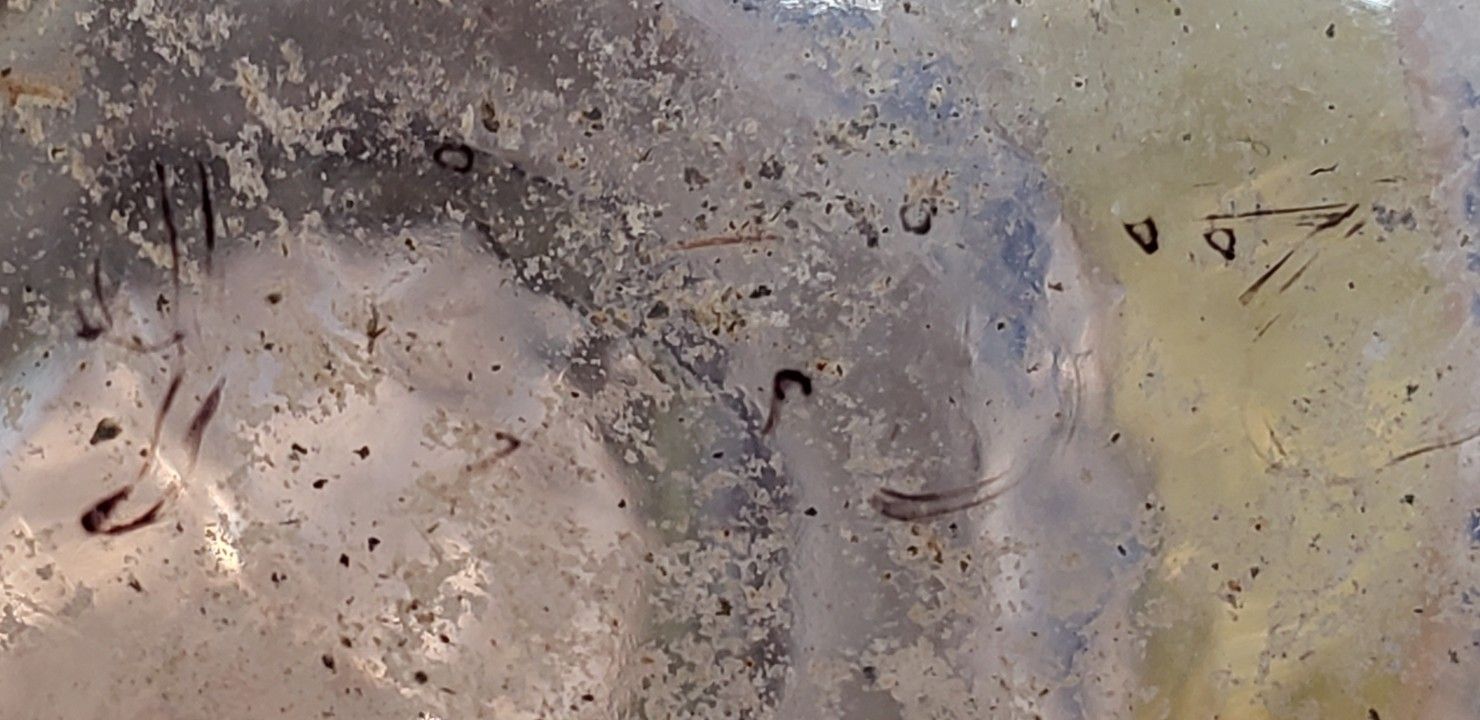 BLUE ATOMIZER BOTTLE 4.jpg