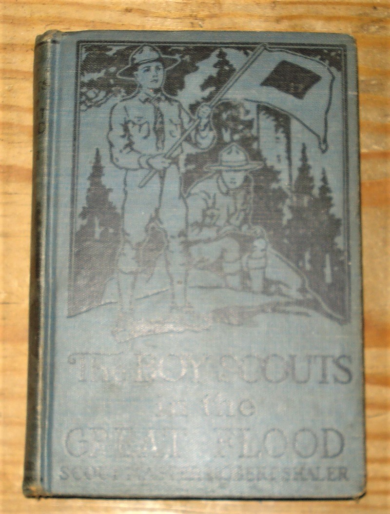 book boyscouts in  the great flood.jpg