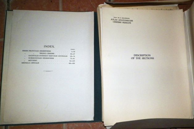 book brain book 2aa.JPG