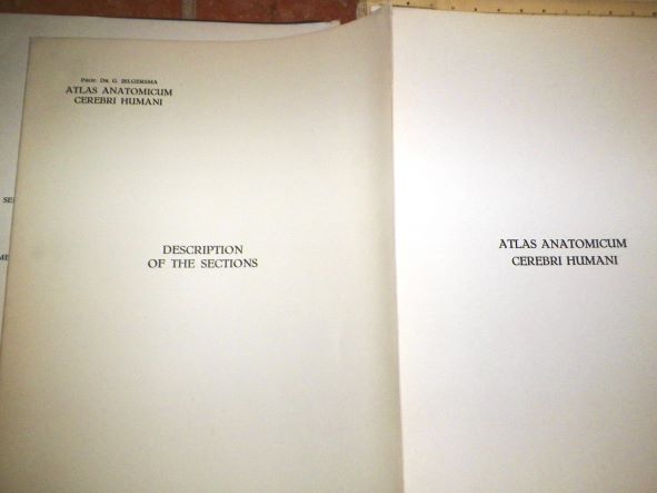 book brain book 3aa.JPG