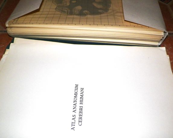 book brain book 6aa.JPG